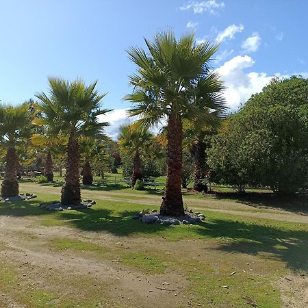 El Algarrobo Luaran gambar