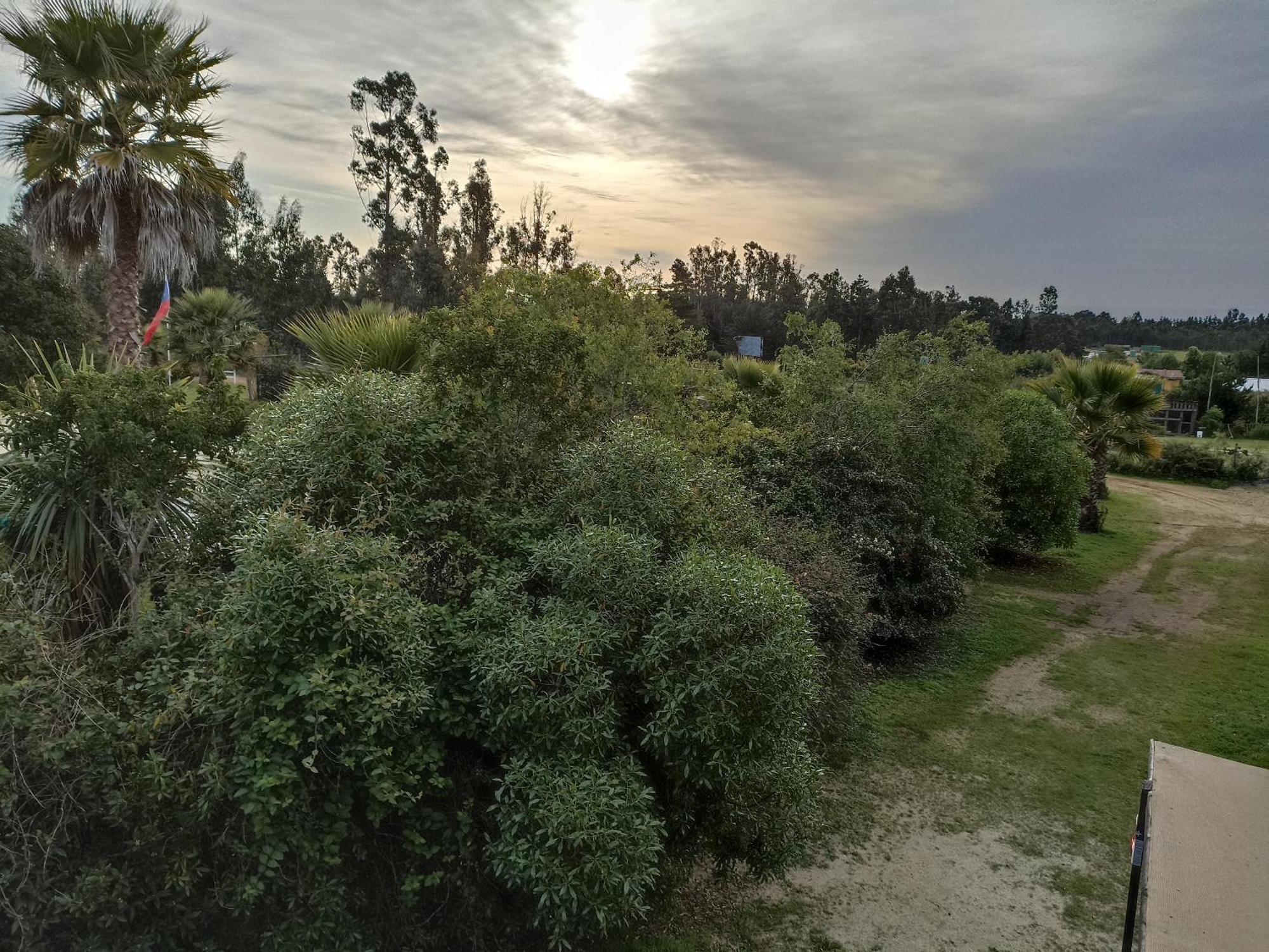 El Algarrobo Luaran gambar