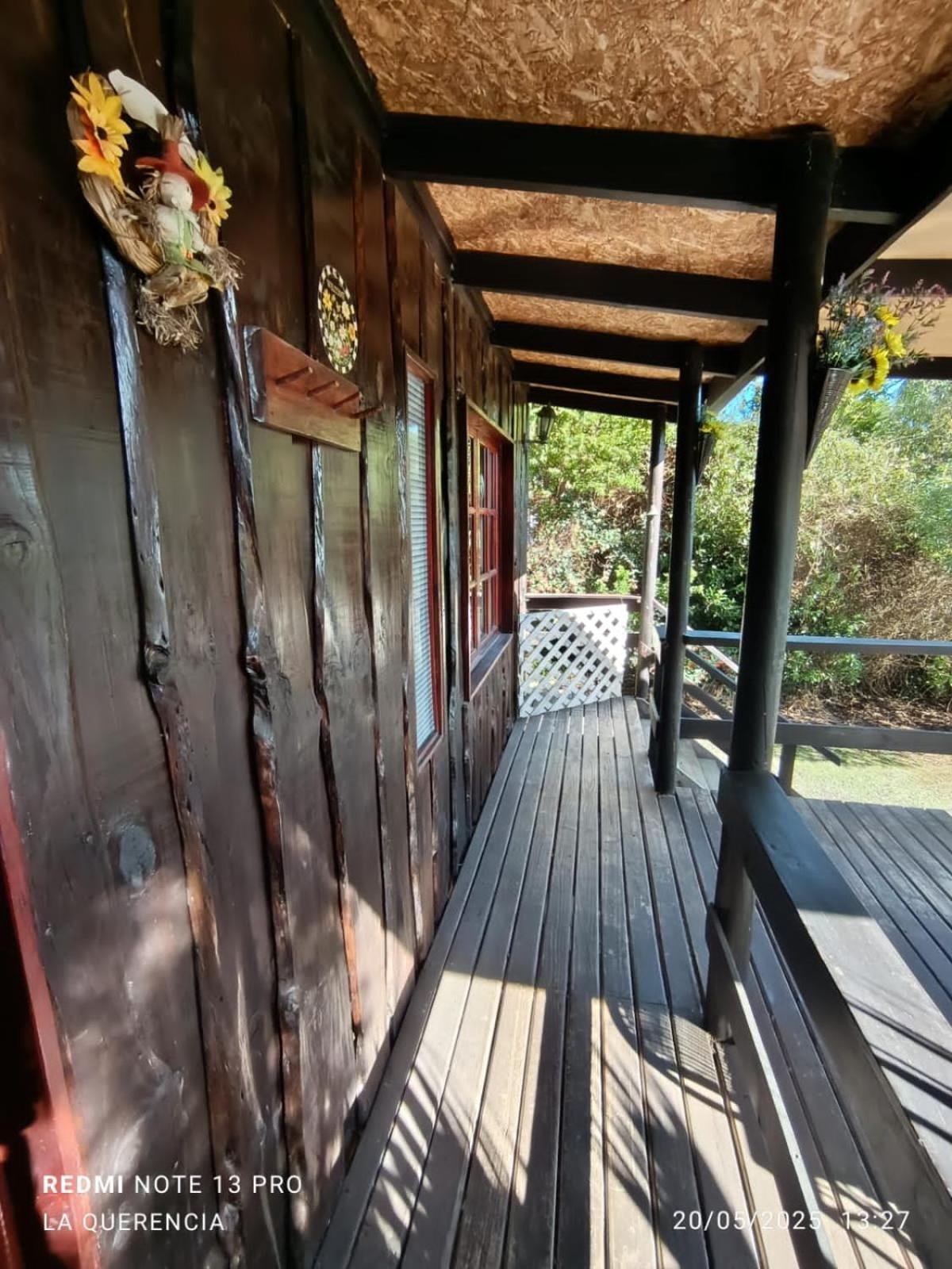 El Algarrobo Bilik gambar