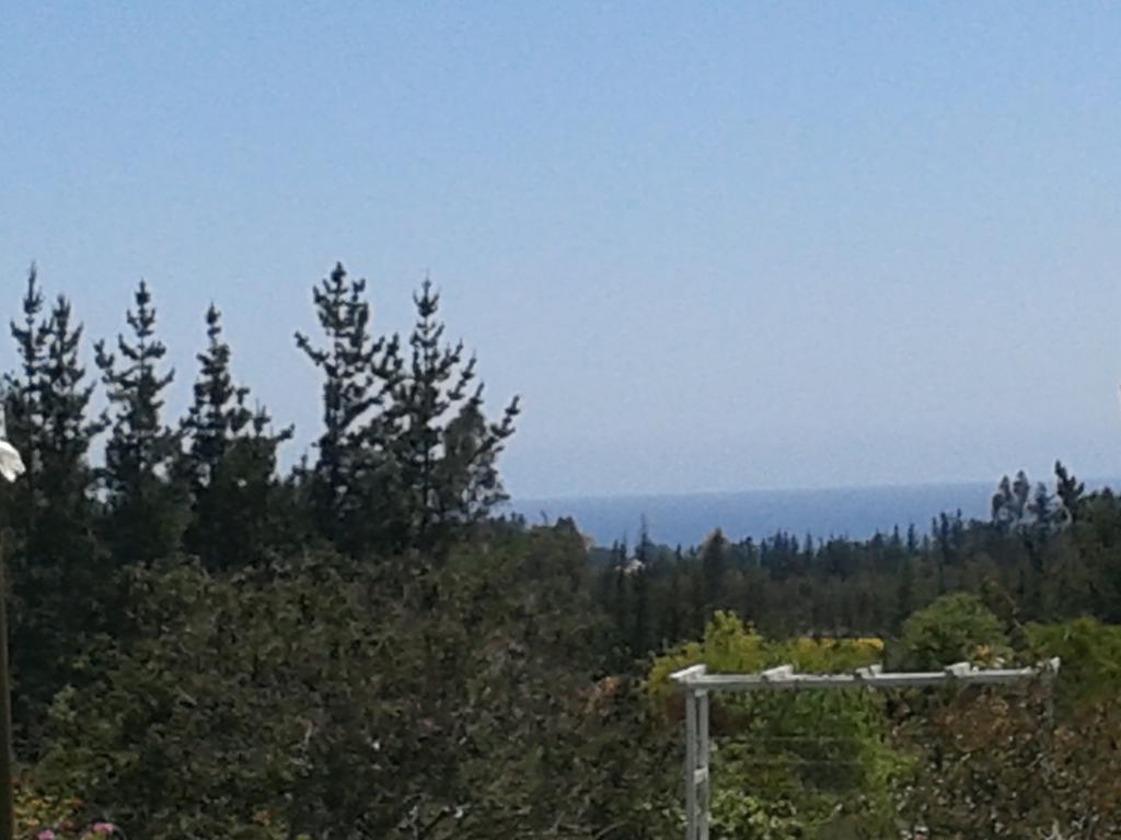 El Algarrobo Luaran gambar