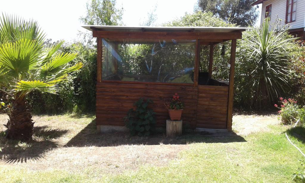 El Algarrobo Luaran gambar
