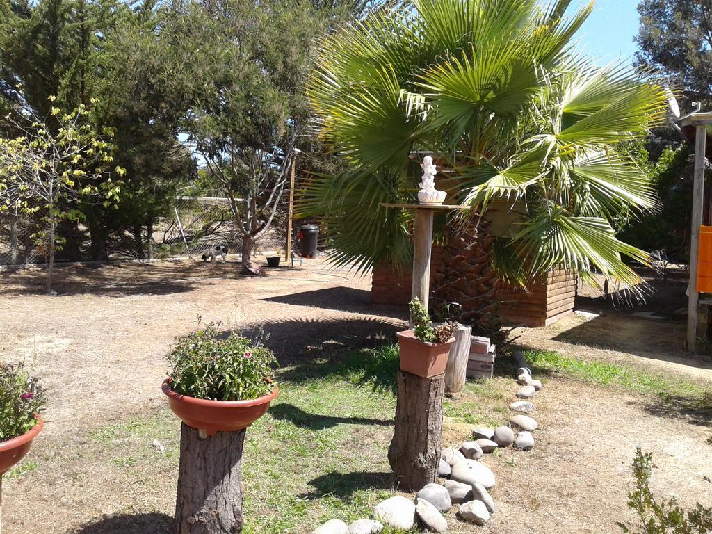 El Algarrobo Luaran gambar